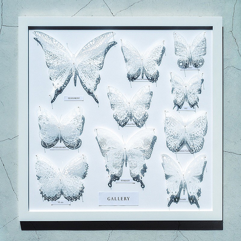 沖聡次郎（Novelbright）、ビルボードライブ横浜単独公演に向けソロ