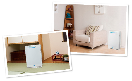 性能抜群！空気清浄機エアフォレストZF-2100 | びんちょうたんコム