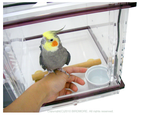 9993083【More Style】飼鳥専用恒温保温ケースCURE 鳥専門店 BIRD MORE