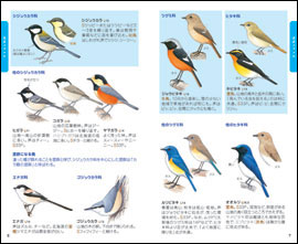 日本野鳥の会 バードショップオンライン Wild Bird 図鑑 見る読む