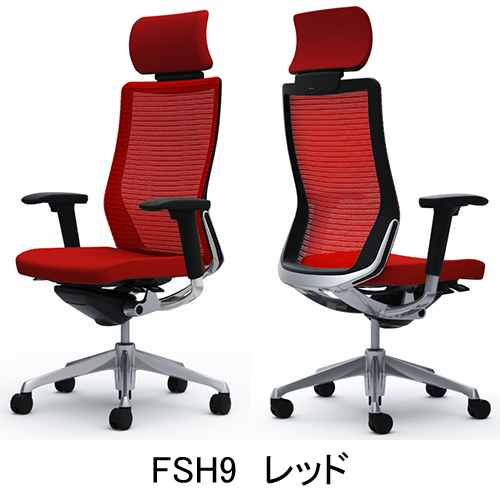 fsh9.jpg
