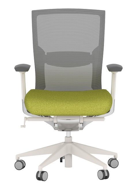 Buzz Seating Rika Ergonomic Mesh Back Office Chair - Gray Me