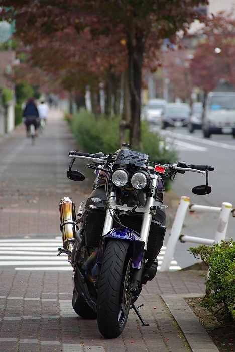 ストリートファイター系バイクのバグアイヘッドライト【ブラック