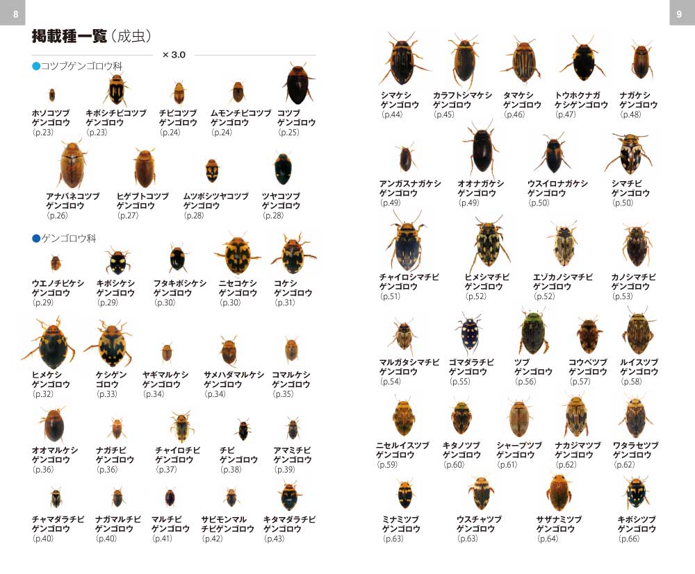 ゲンゴロウ・ガムシ・ミズスマシハンドブック