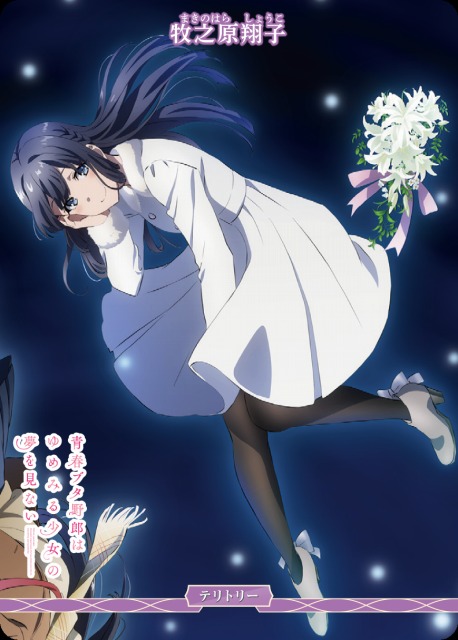 BDB】青春ブタ野郎はゆめみる少女の夢を見ない / 牧之原翔子(両面