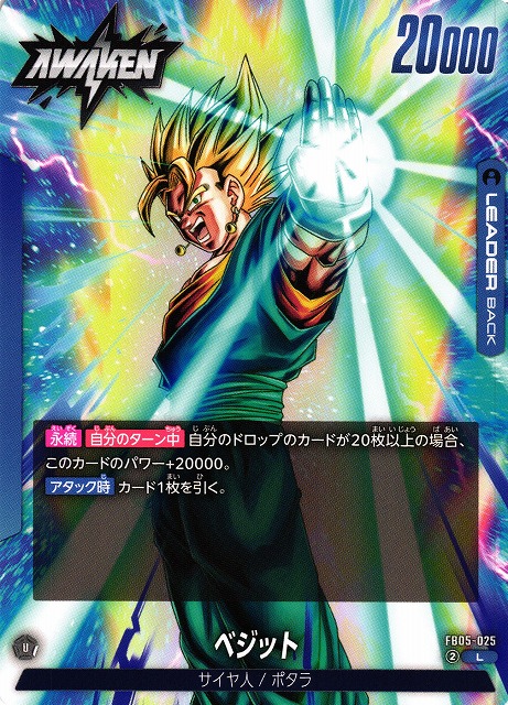 DBFW】ベジット【L】FB05-025 - C-labo OnlineShop