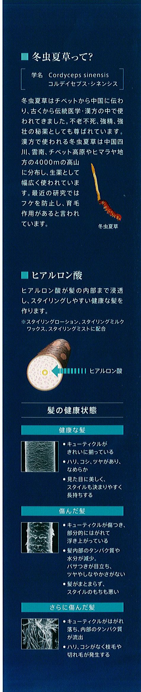 ポーラ ガチ スタイリングミルクワックス(V079) 入数：400 単価：32円