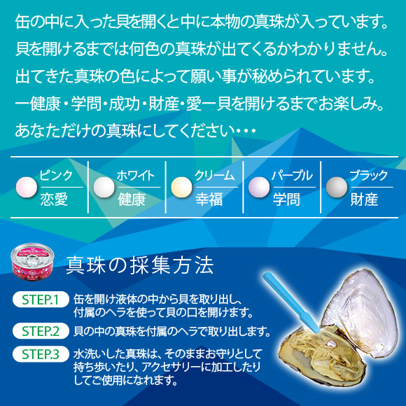 真珠缶 真珠採集キット｜500円未満｜景品ゲットクラブ