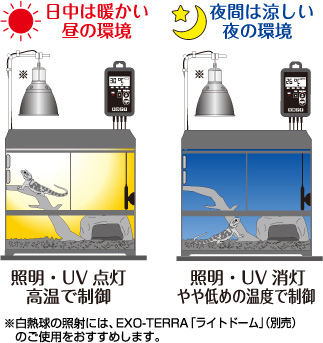 タイマーサーモ | 爬虫類用品・エキゾ テラ | ジェックス