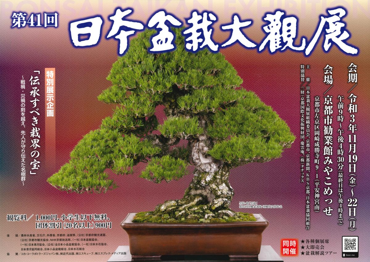 第41回『日本盆栽大観展』 – 現代盆栽 Gendaibonsai