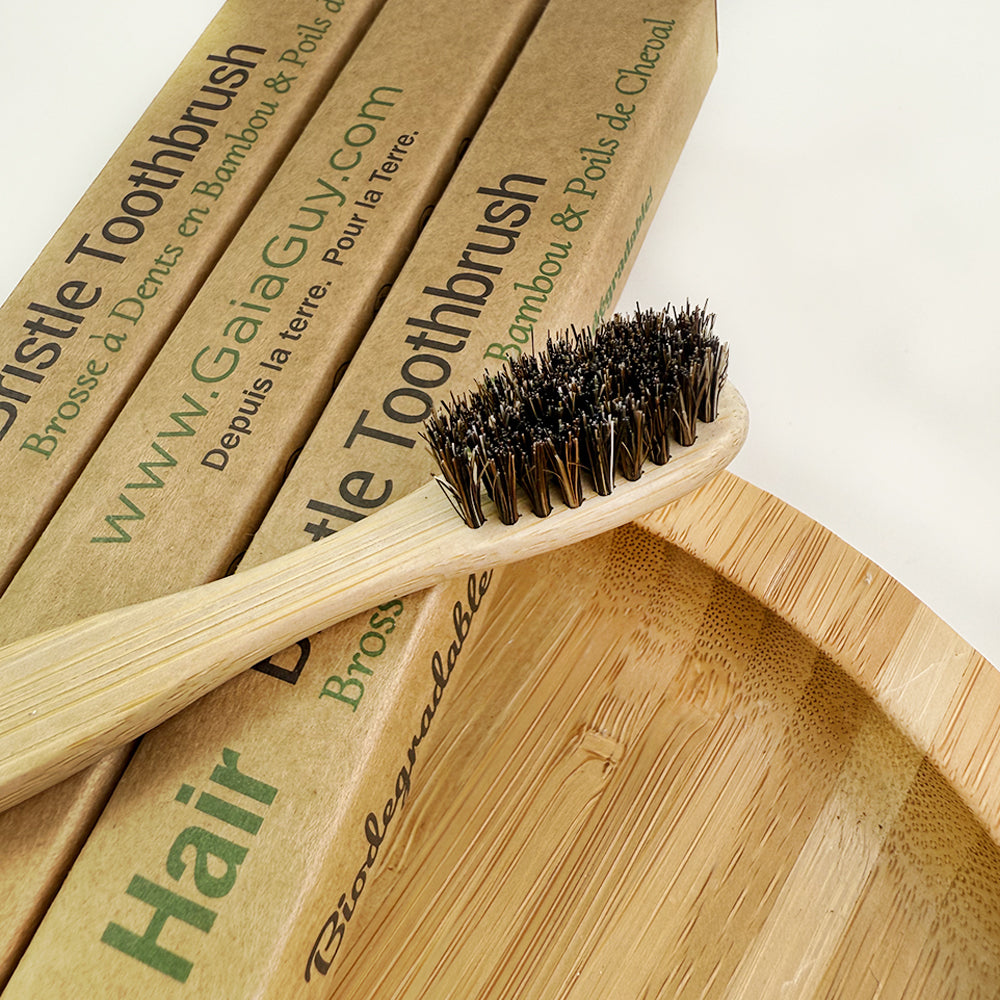 Bamboo and Horsehair Toothbrushes w/ Silk Floss and Bamboo Travel