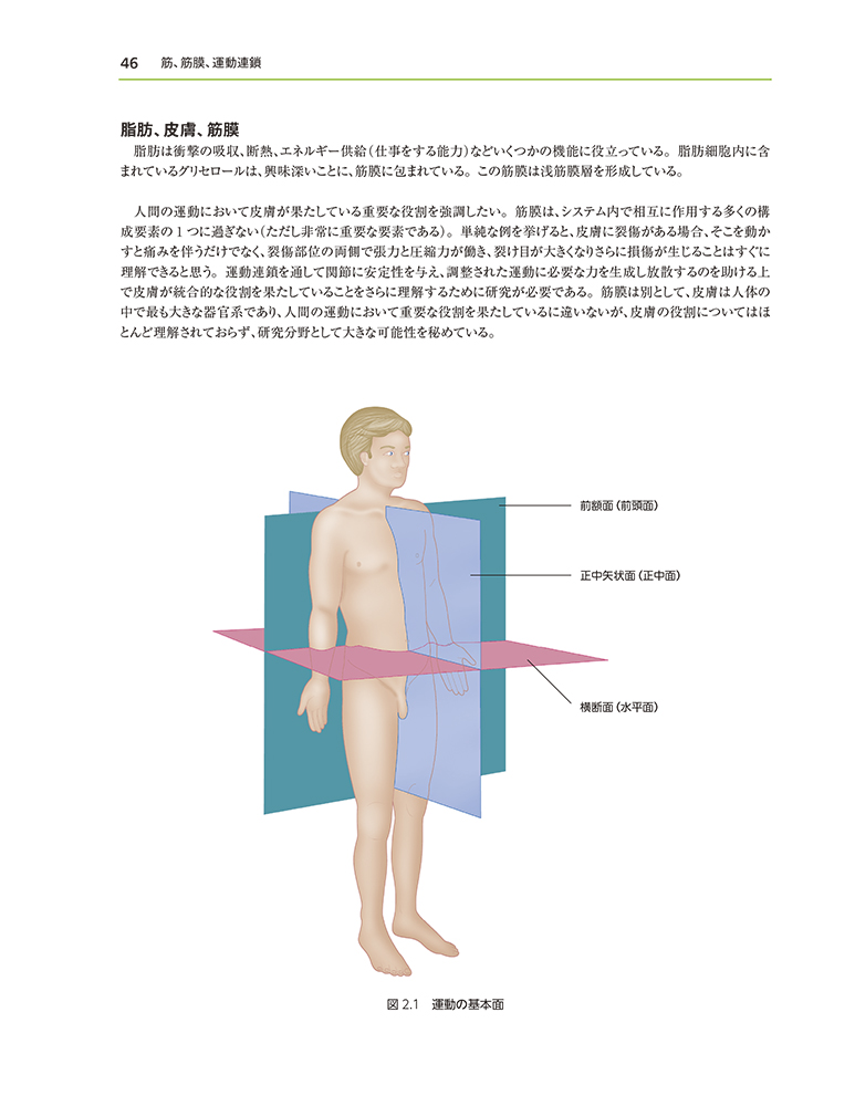 書籍『神経筋療法 トリガーポイントマニュアル』 | ガイアブックス