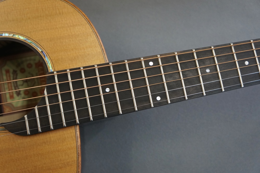 aNueNue （アヌエヌエ） M60 / 楽器屋BOW オンラインストア