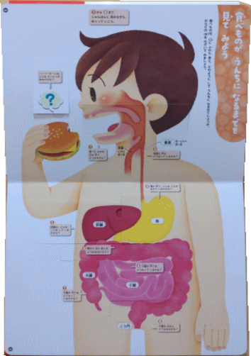めくって学べる図鑑｜理系脳が育つ！学べるしくみ図鑑