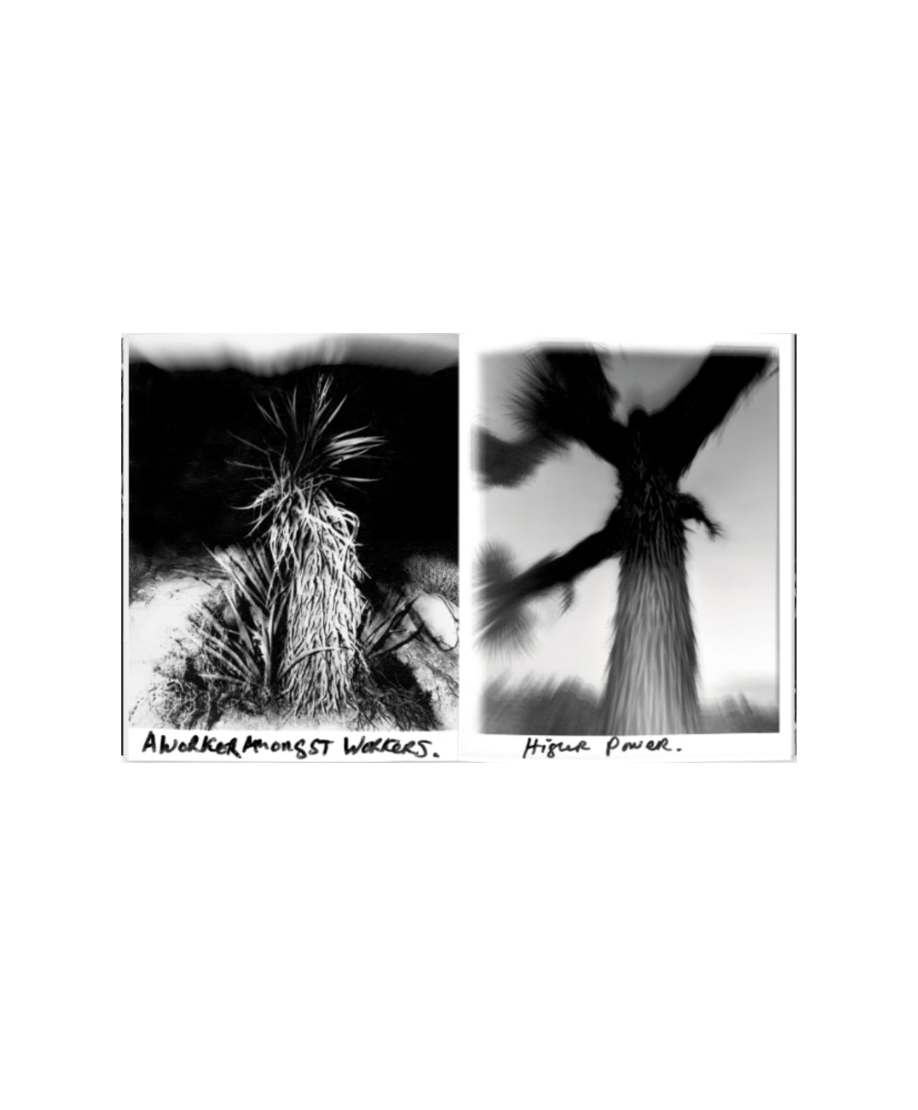 Chris Shaw - Horizon Icons – Galerie Écho