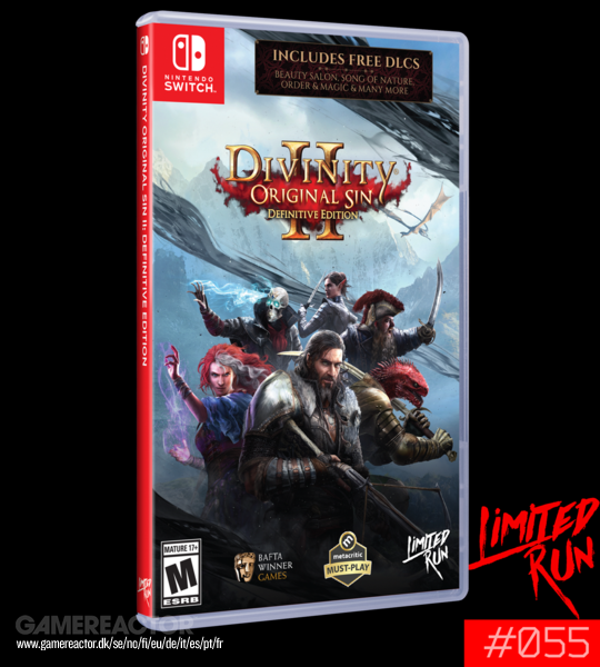 Divinity: Original Sin II gets physical Switch release