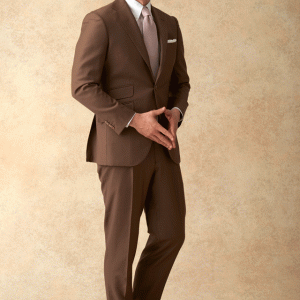 ブラウンスーツ・無地のコーディネート（Cloth Ermenegildo Zegna