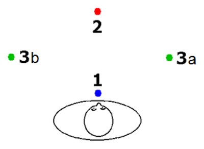 The syntax of sign language agreement: Common ingredients, but