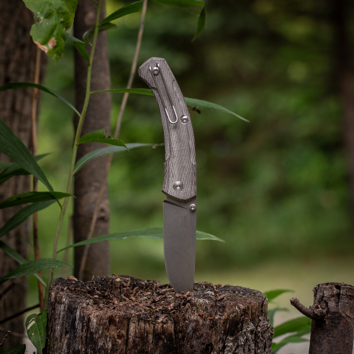 ACE Iona V2 - Green Canvas – GMK