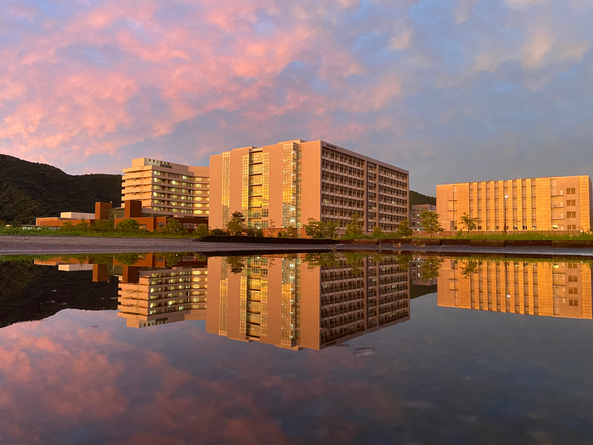 第3回岐阜大学フォト＆アートコンテスト | 大学案内 | 岐阜大学