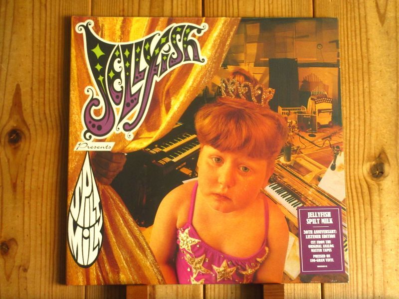 デッドストック入荷！ジェリーフィッシュの最高傑作！□Jellyfish