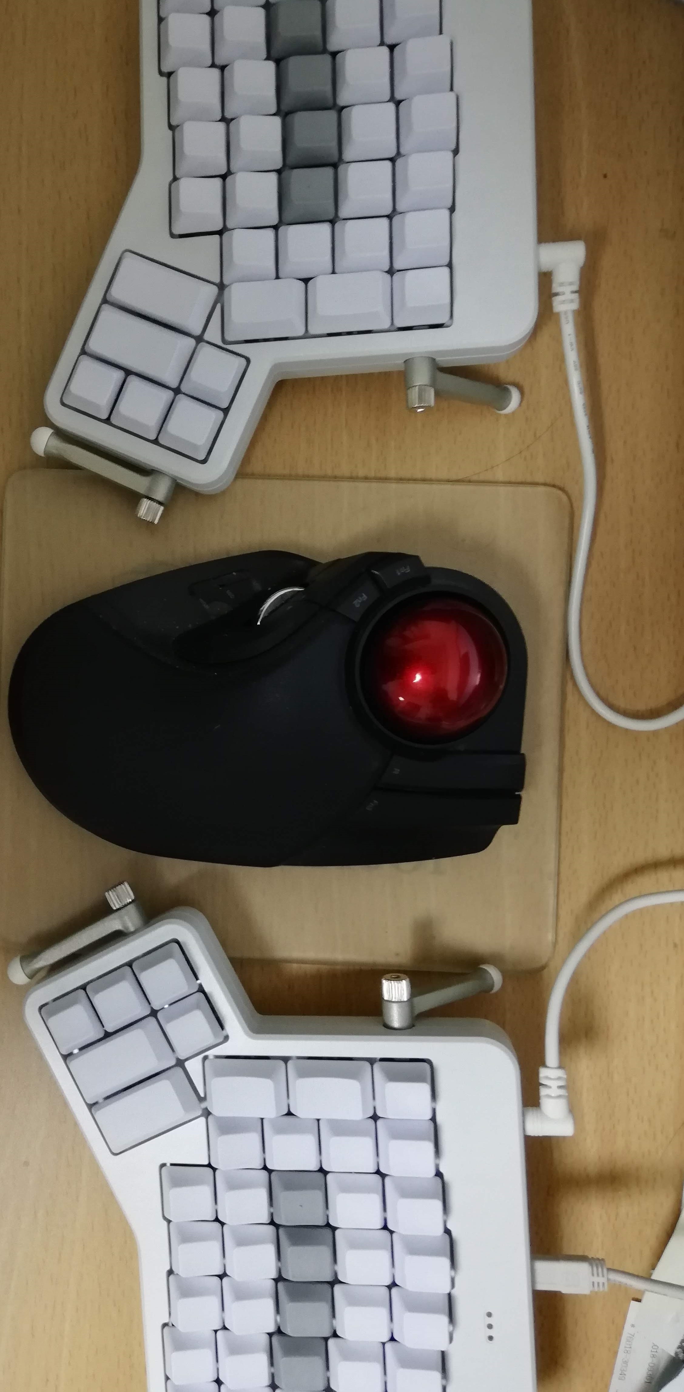 ergodox ezを購入した - ぐるっとぐりっど