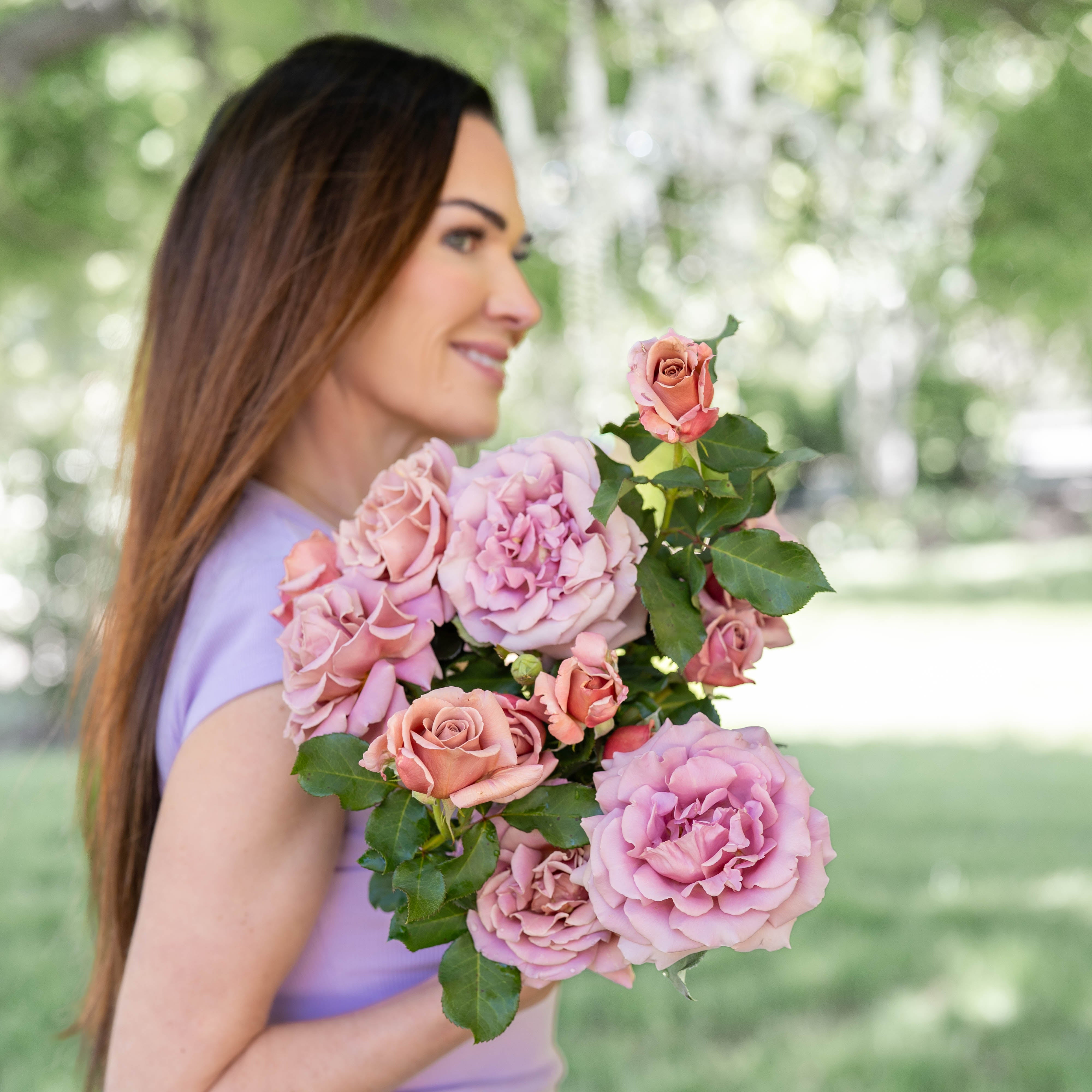 Koko Loko™ Bare Root Rose Bush - Grace Rose Farm