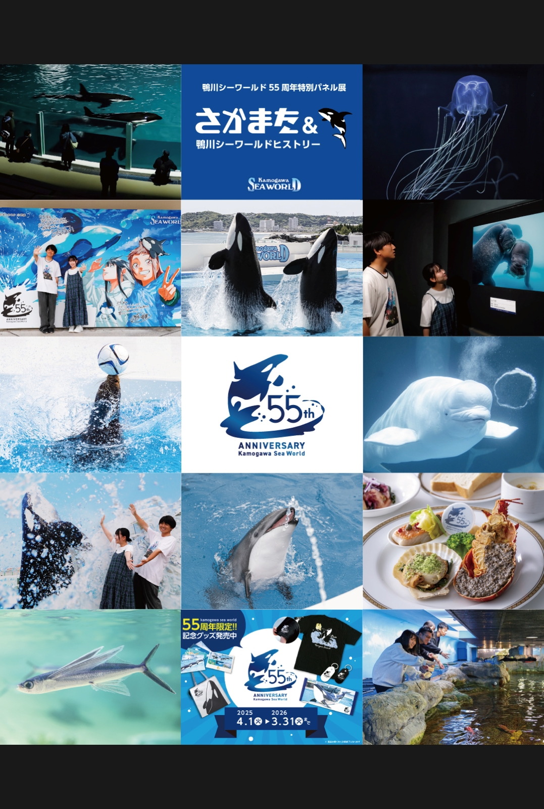 鴨川シーワールド開業55周年イベント「55th Anniversary Year」 | 株式