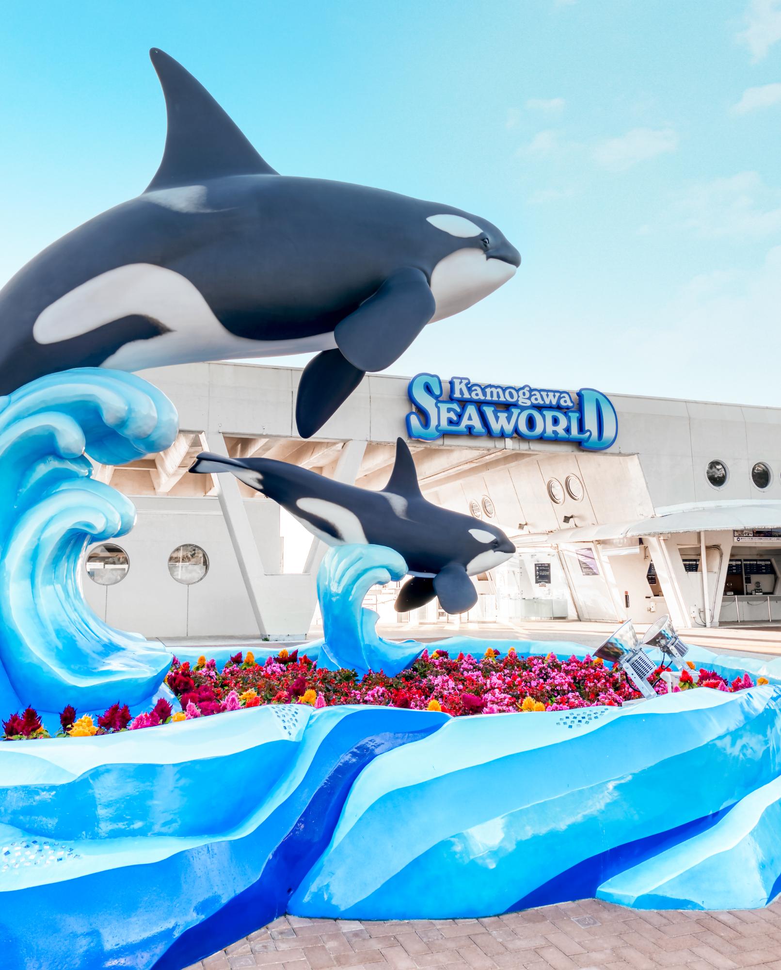 鴨川シーワールド開業55周年イベント「55th Anniversary Year」 | 株式