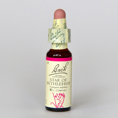 フラワーレメディ スターオブベツレヘム(STAR OF BETHLEHEM) BACHR129