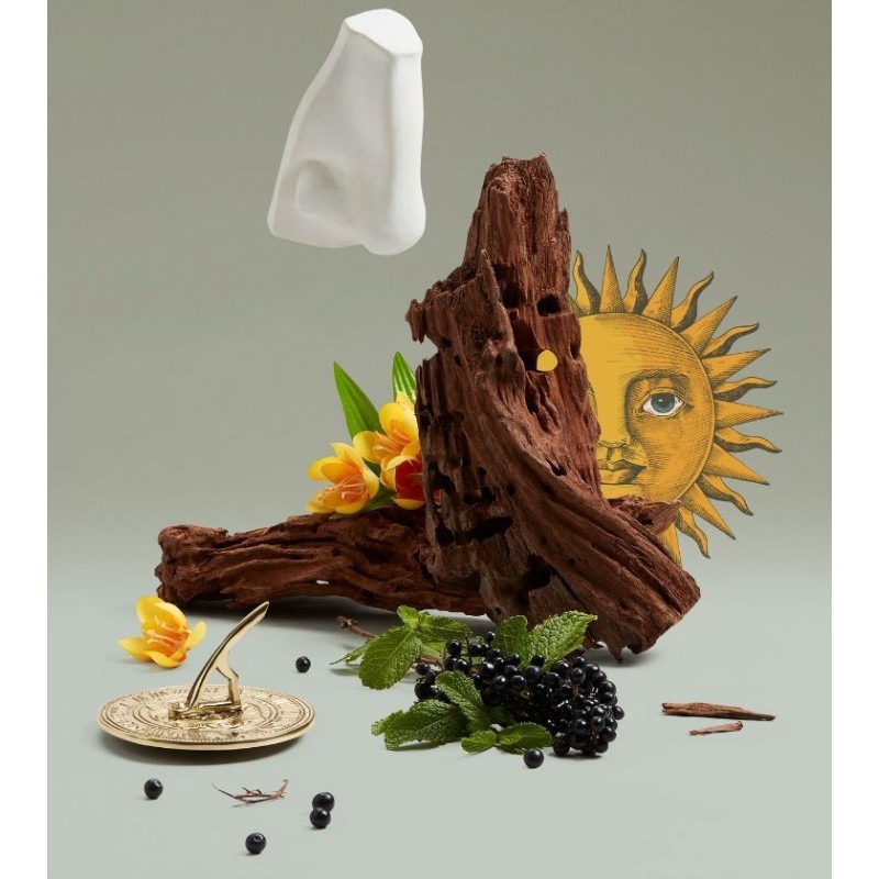 SOLARIS EDP 100ml PENHALIGONS • Un'ode senza tempo al Sole