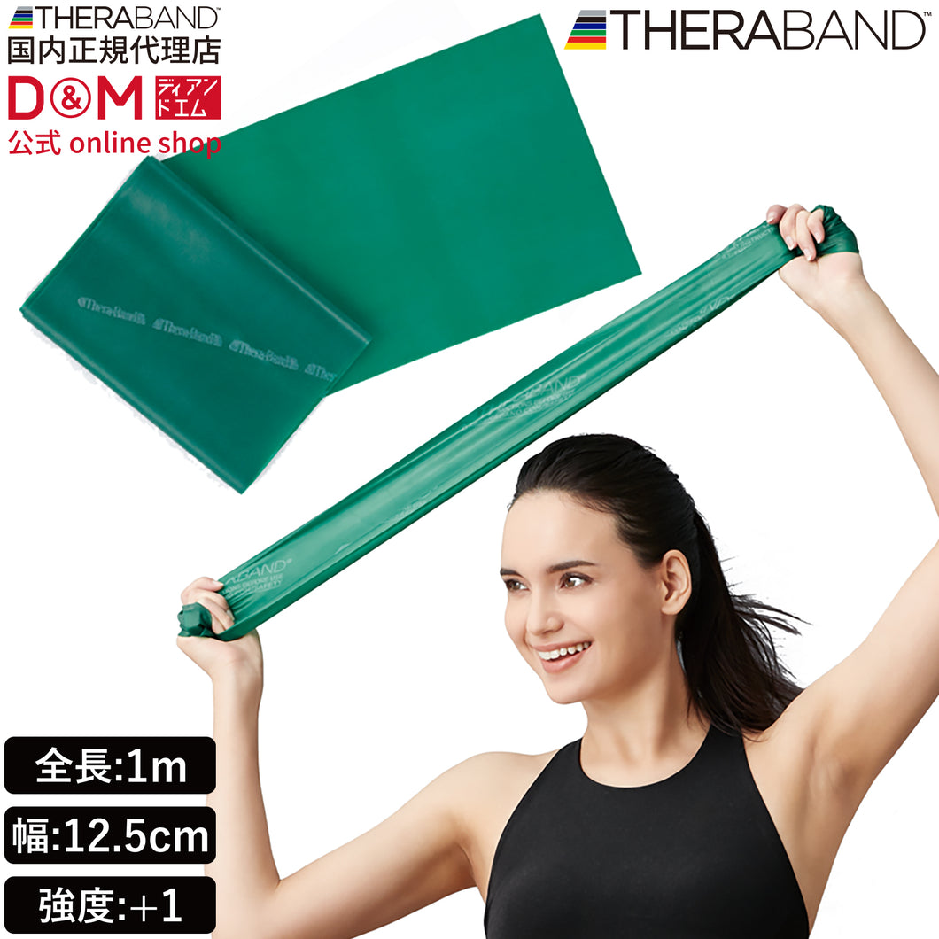 THERABAND セラバンド フォーエントリー 初心者向け 長さ1m 強度レベル