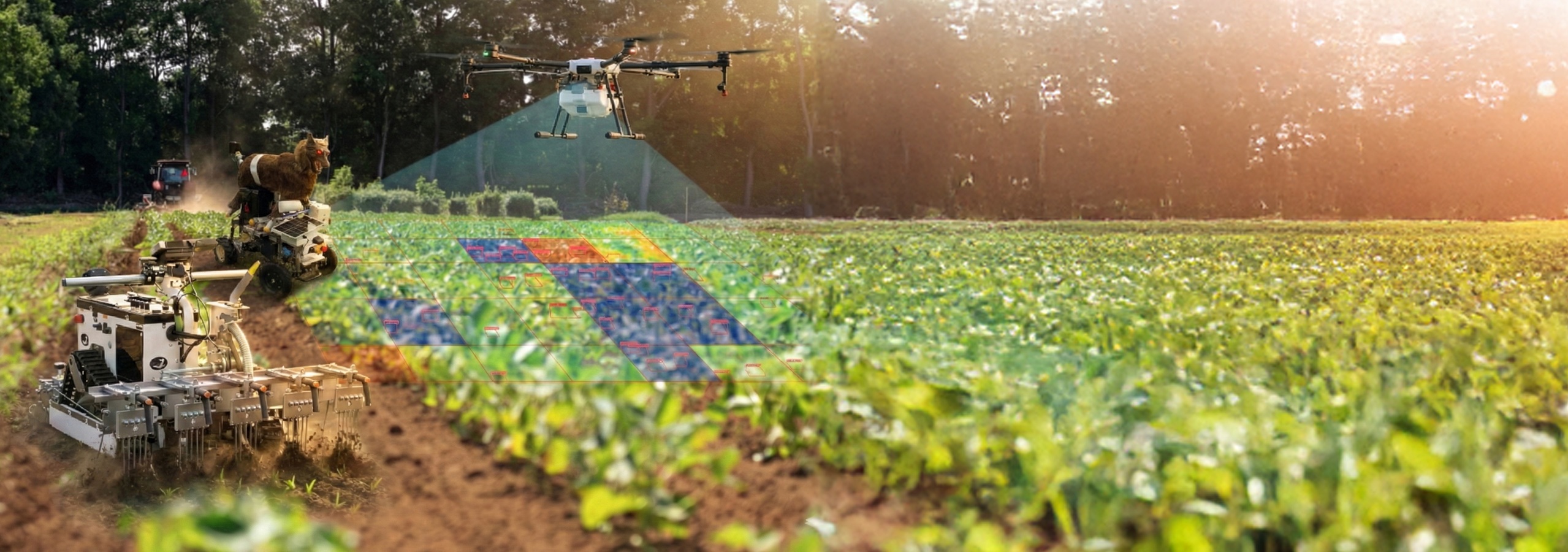 AI・ロボティクスで実現するスマート農業| NTTドコモ