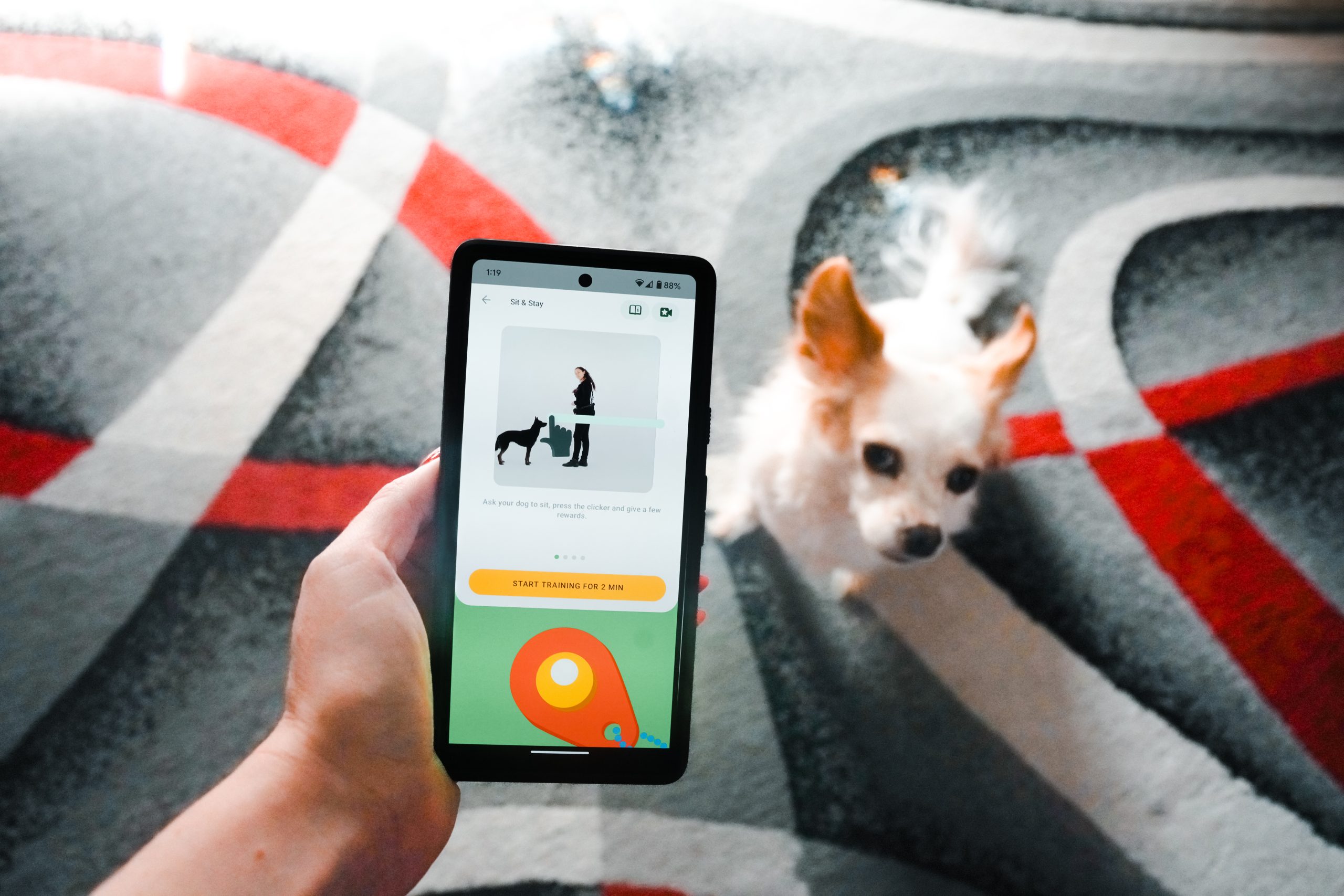 Dogo App Review 2026: An Expert's Breakdown – Dogster