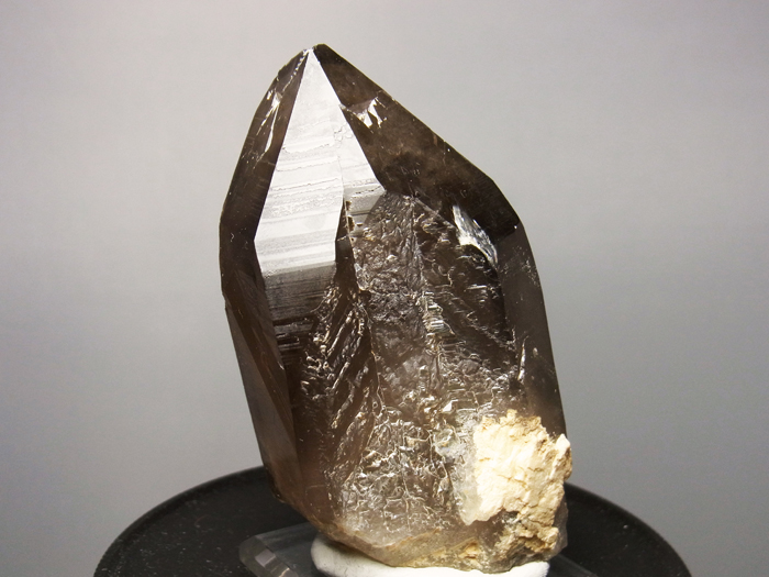 滋賀県田上山産 煙水晶 (Smoky Quartz / Japan) - 鉱物標本販売店