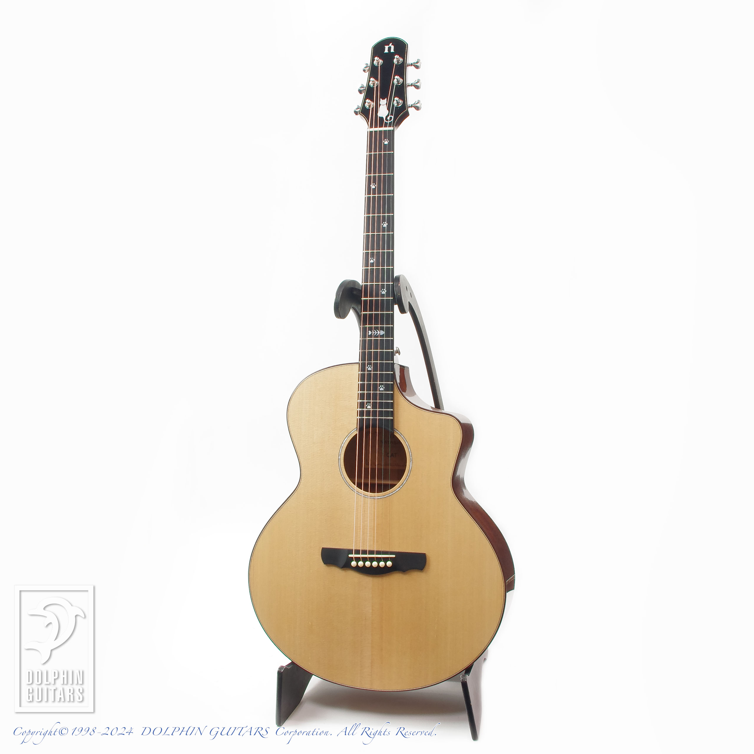 NATASHA CAT|ドルフィンギターズ