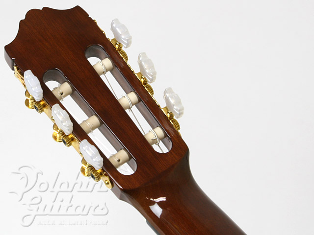 YAMAHA CGX-171CCA|ドルフィンギターズ