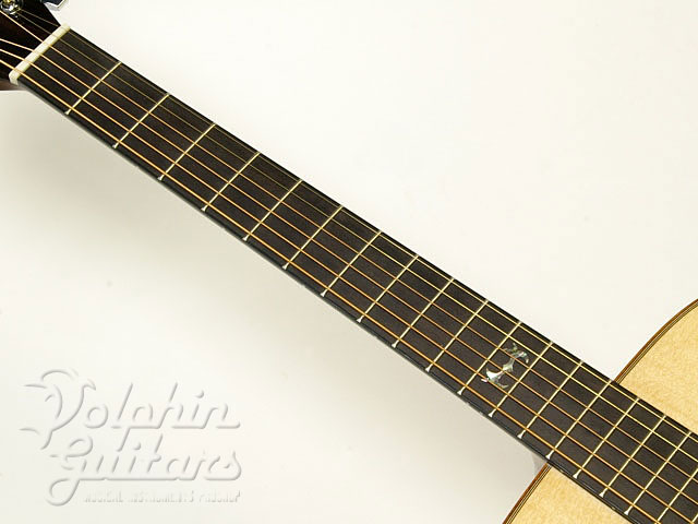 MORRIS M-LTD|ドルフィンギターズ