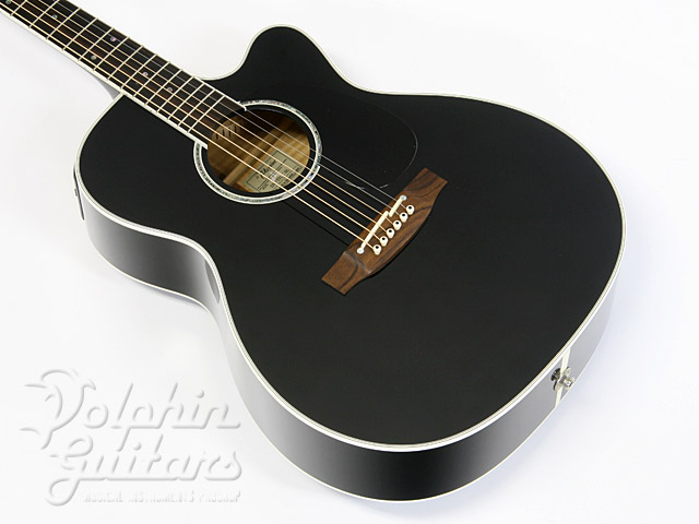 TAKAMINE DMP751C BL|ドルフィンギターズ
