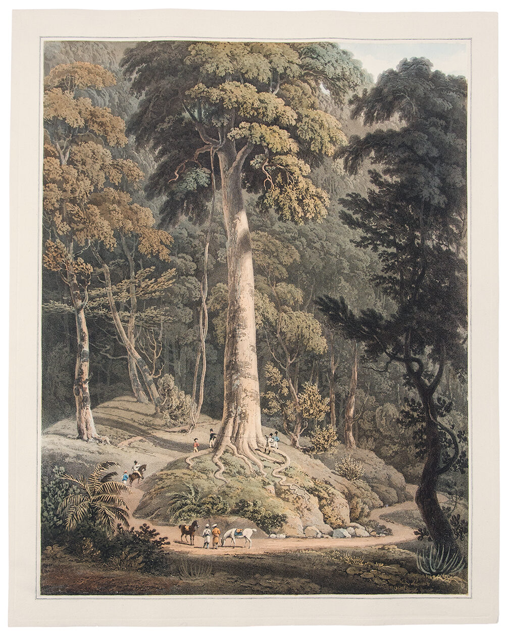 Panoramic Sketch of Prince of Wales Island | William DANIELL