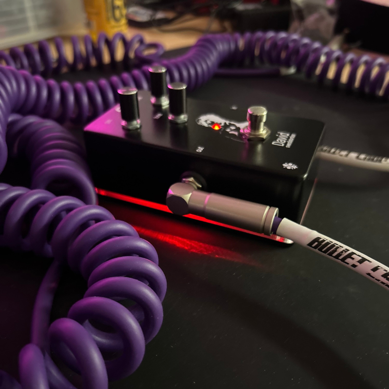 DAVID distortion black Dophix -