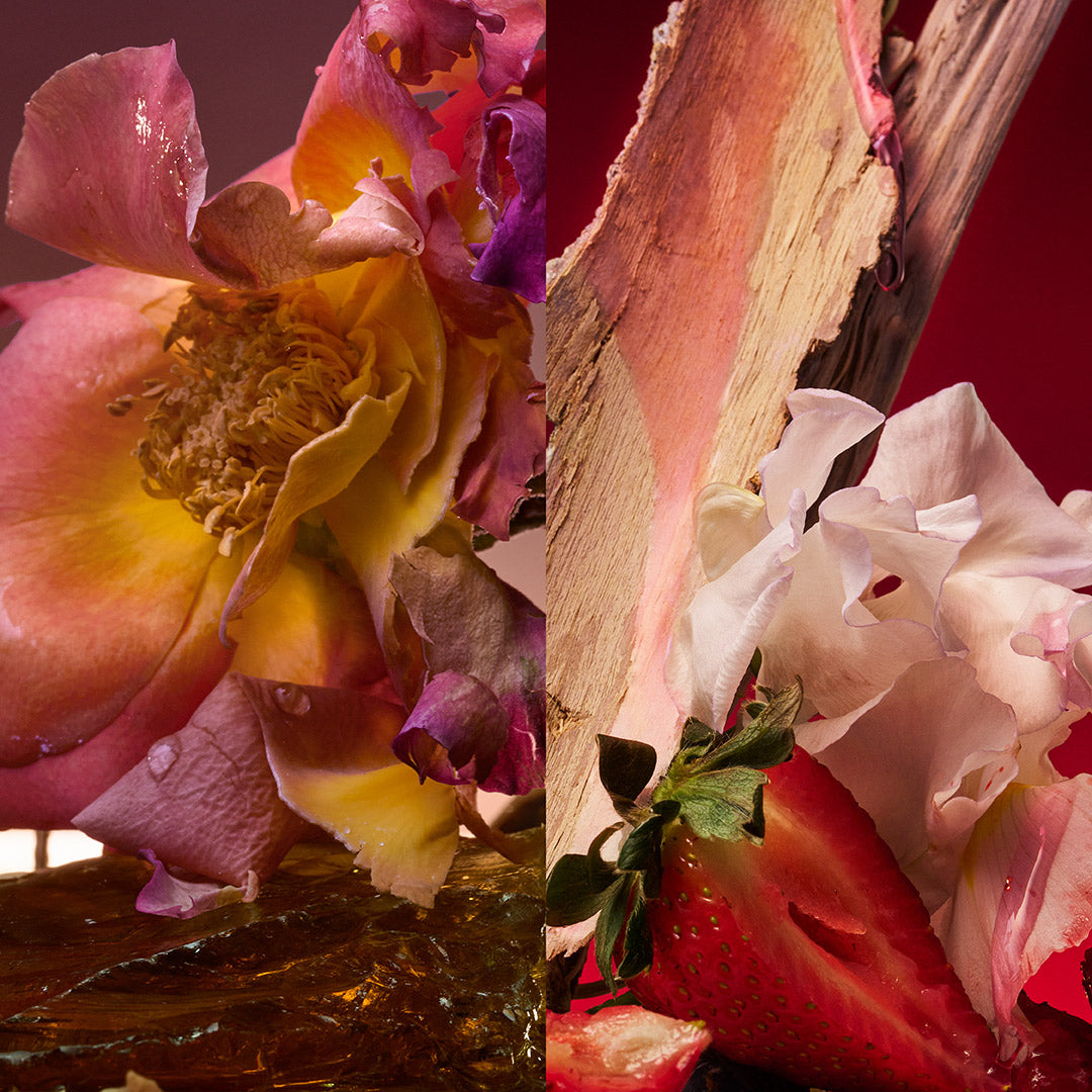 Jordi Fernandez presents the “Rose Blaze” Perfume Extract – Maison