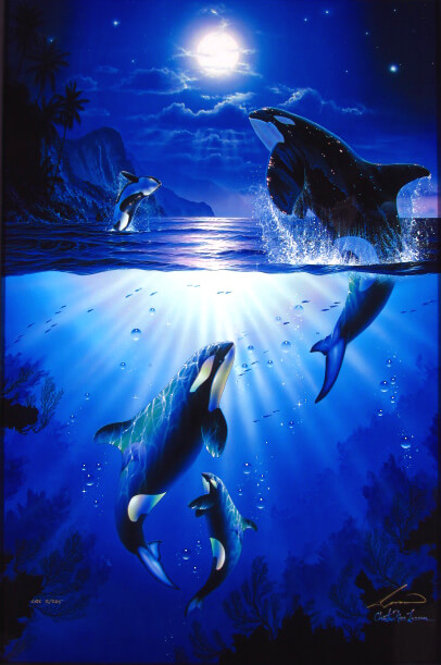 クリスチャン リース ラッセン ミスティックオルカ（キャンバス）