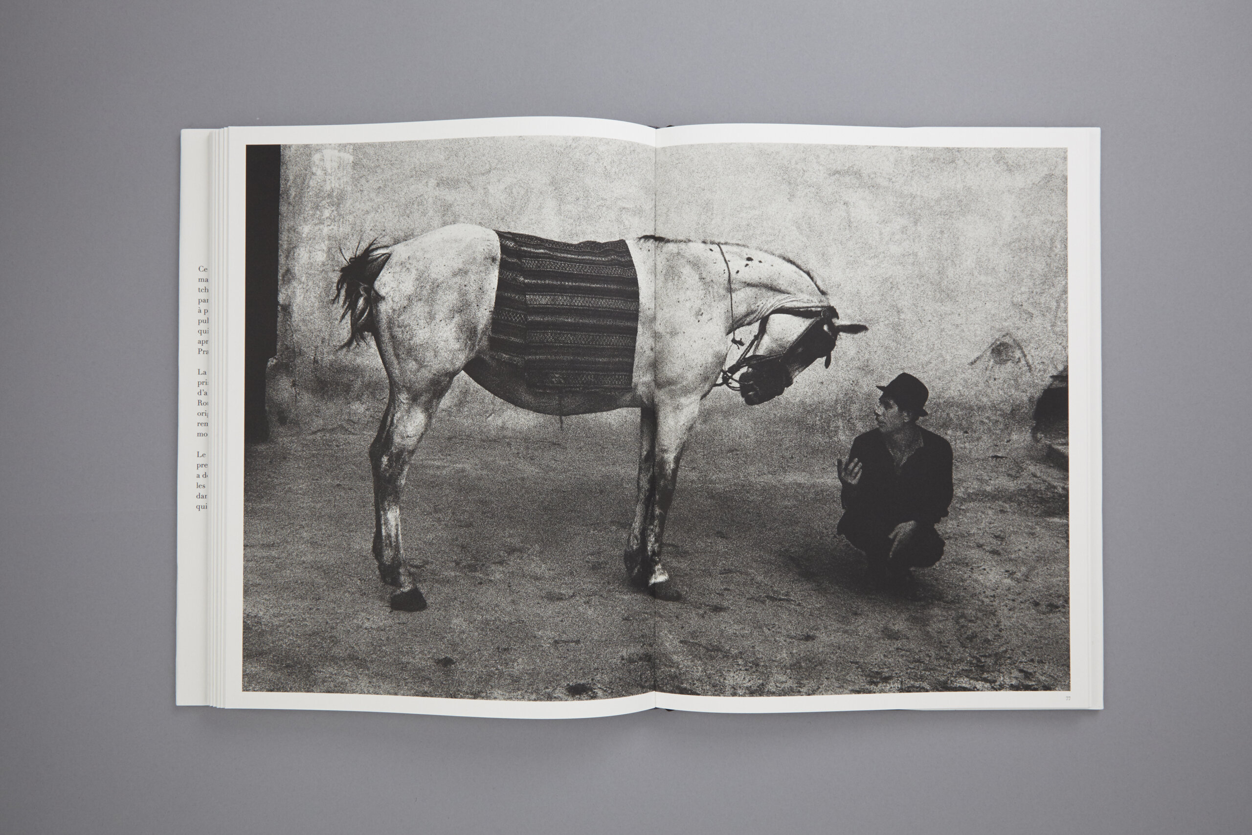 Josef Koudelka: Gitanos スペイン語版 Josef Koudelka: Gitanos