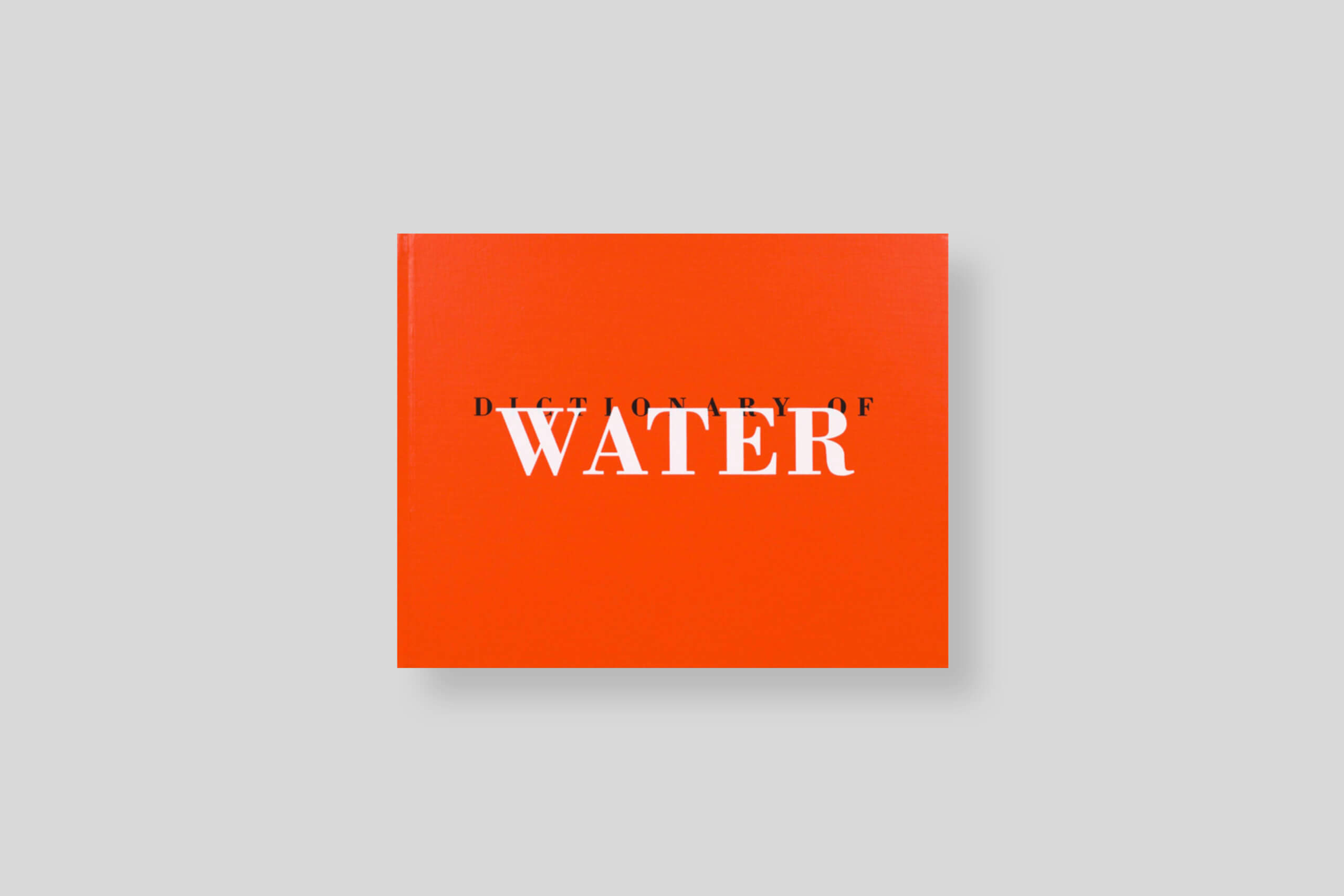 Dictionary of Water Roni Horn - delpire & co