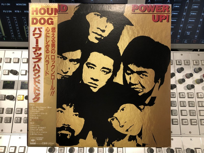 5月の空に響き渡るJ-ROCK 宮城が生んだR&Rバンド、ハウンド・ドッグ