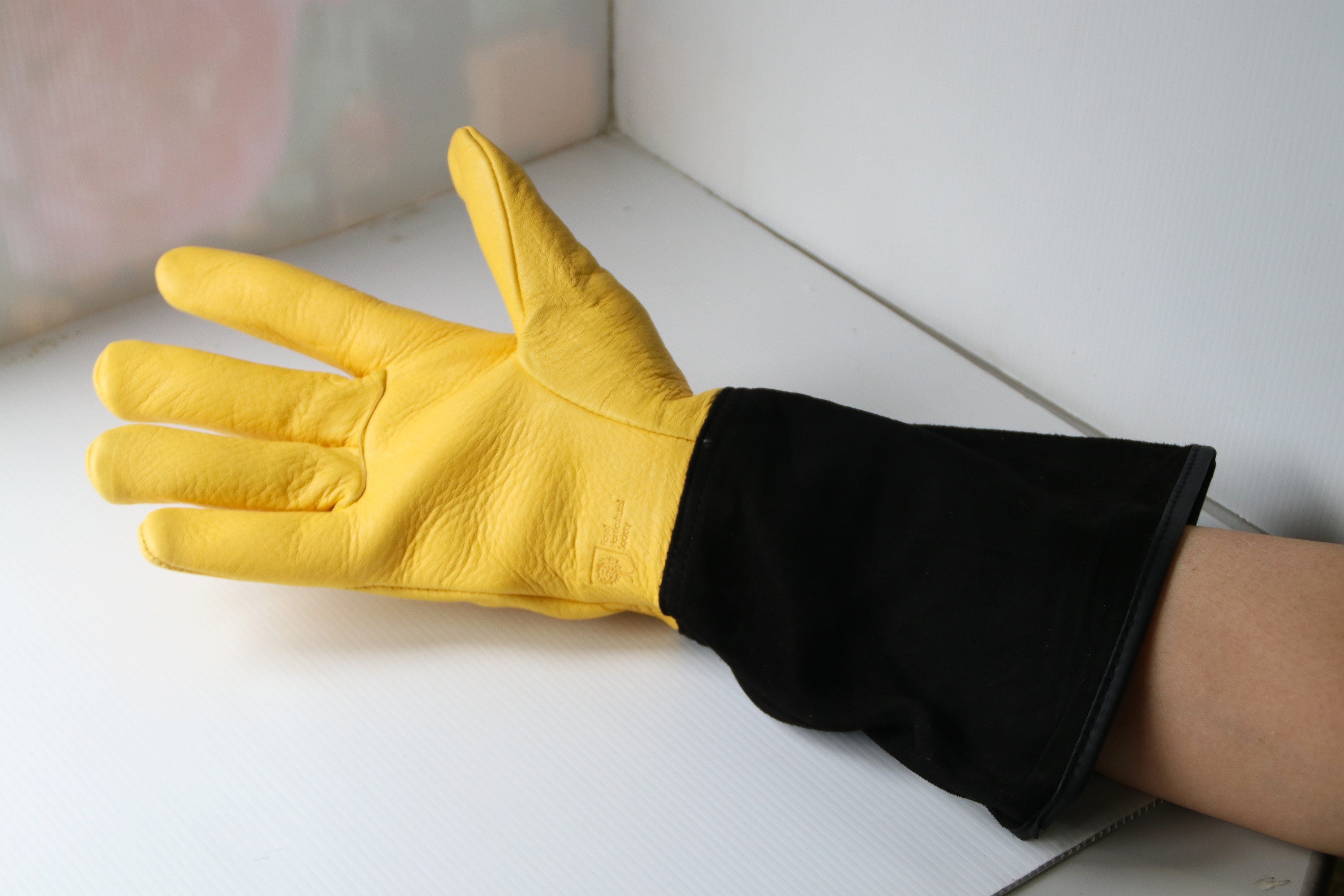 ジェイコ社 タフタッチグローブ(メンズ) - Tough touch glove Mens