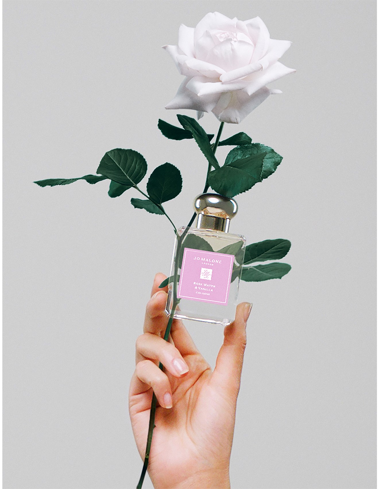 Jo Malone London Rose Water & Vanilla Cologne 50ml | David Jones