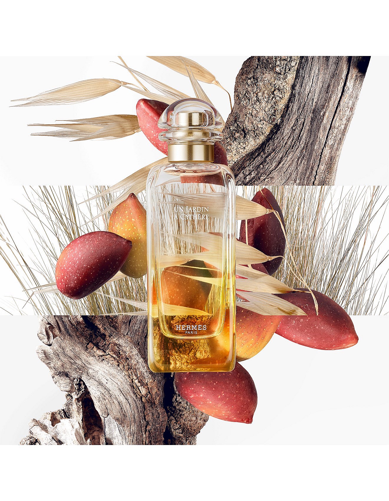 Hermes Hermes Jardin Collection Nomad Set | David Jones