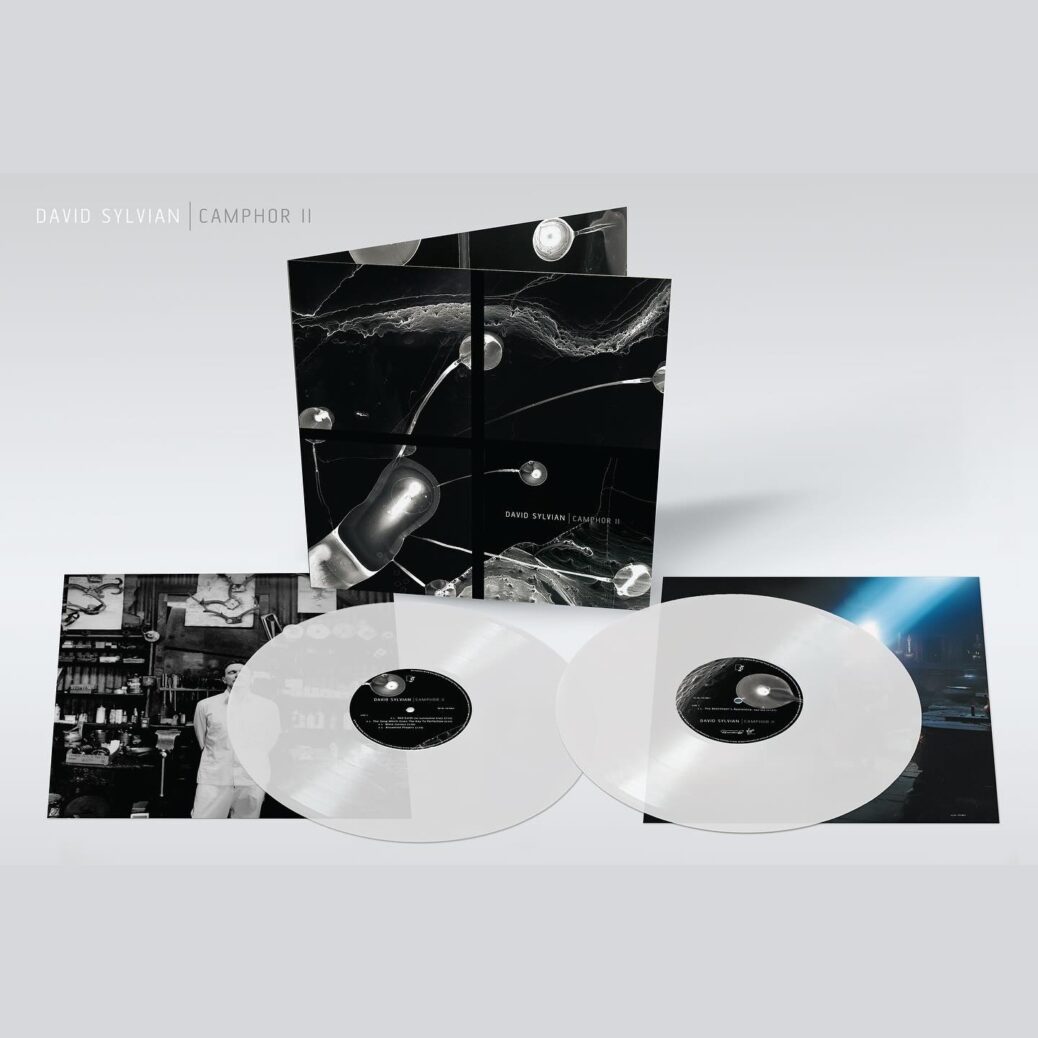 Camphor II (2LP RSD 2025) - David Sylvian : Expect Everything And